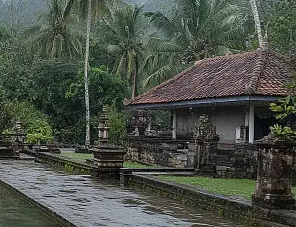 Infinity Pool